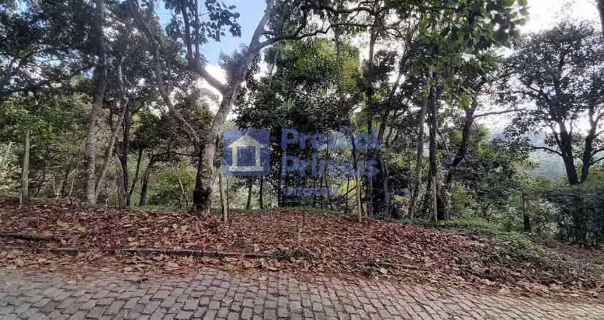 Oportunidade única - terreno à venda, 395 m² por r$ 200.000 - vargem grande, cônego - nova friburgo