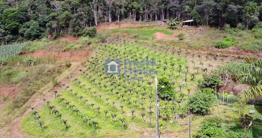 Chácara à venda, 20000 m² por r$ 1.100.000,00 - varginha - nova friburgo/rj