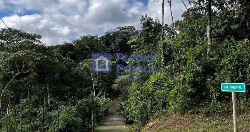 Terreno à venda, 1150 m² por r$ 250.000,00 - ponte da saudade - nova friburgo/rj