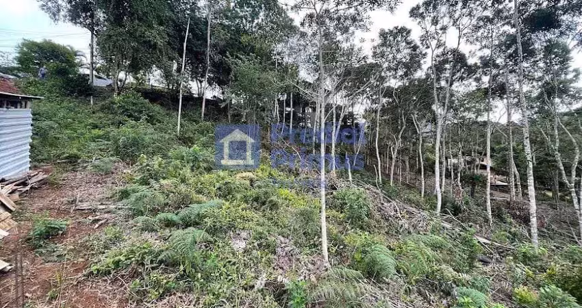 Terreno à venda, 1149 m² por r$ 680.000,00 - braunes - nova friburgo/rj