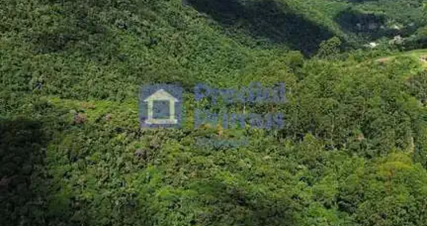 Terreno à venda, 367525 m² por r$ 2.600.000,00 - caledônia - nova friburgo/rj