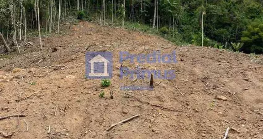 Terreno à venda, 20560 m² por r$ 650.000 - cônego - nova friburgo/rj