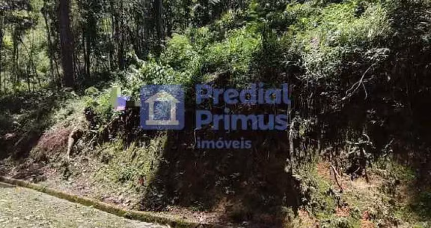 Terreno à venda, 956 m² por r$ 330.000,00 - cônego - nova friburgo/rj