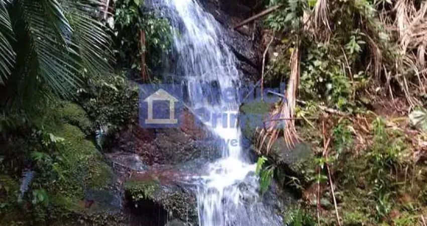 Chácara com 2 dormitórios à venda, 22000 m² por r$ 900.000,00 - santiago - nova friburgo/rj