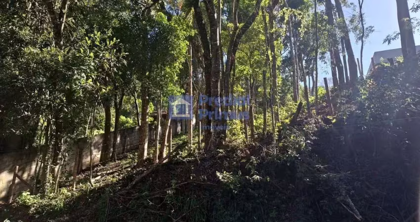 Terreno à venda, 489 m² por r$ 190.000,00 - mury - nova friburgo/rj