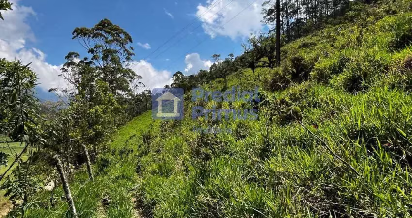 Terreno à venda, 503 m² por r$ 70.000,00 - salinas - nova friburgo/rj