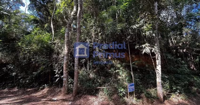 Terreno à venda, 973 m² por r$ 200.000,00 - ponte da saudade - nova friburgo/rj
