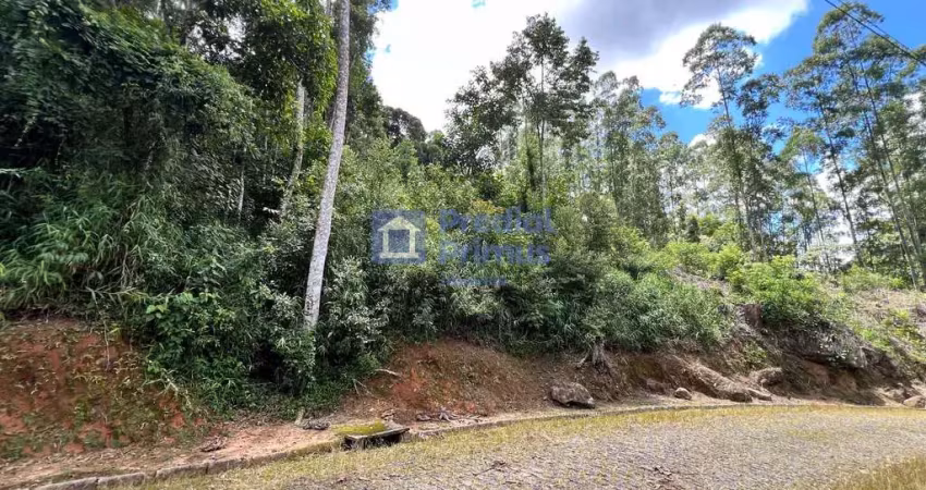 Terreno à venda, 998 m² por r$ 348.000 - cônego - nova friburgo/rj