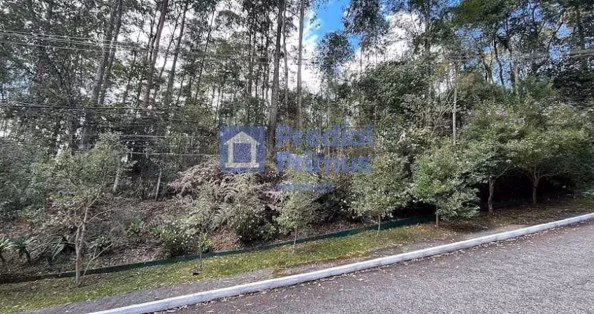 Terreno à venda na Rua Equador, 49, Vale dos Pinheiros, Nova Friburgo