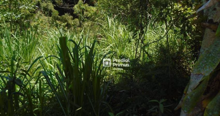 Terreno à venda, 600 m² por R$ 218.000,00 - Varginha - Nova Friburgo/RJ