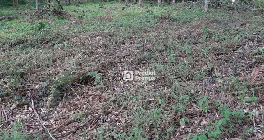 Terreno à venda, 452 m² por r$ 200.000,00 - vargem grande - nova friburgo/rj