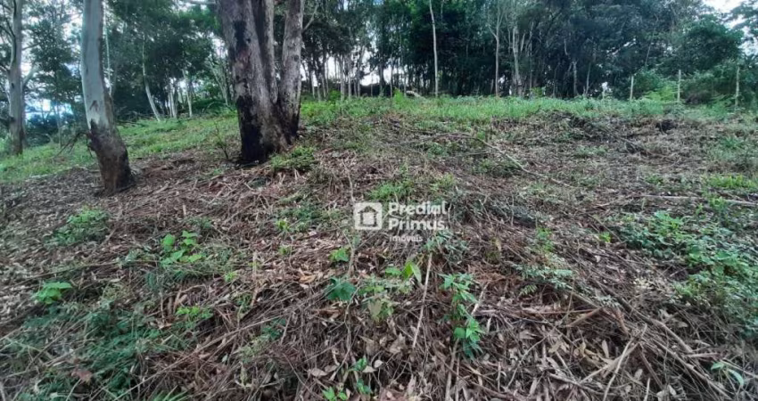 Terreno à venda, 432 m² por R$ 200.000,00 - Vargem Grande - Nova Friburgo/RJ
