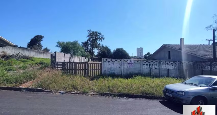 TERRENO Á VENDA  ,  Nova Rússia, Ponta Grossa - TE416