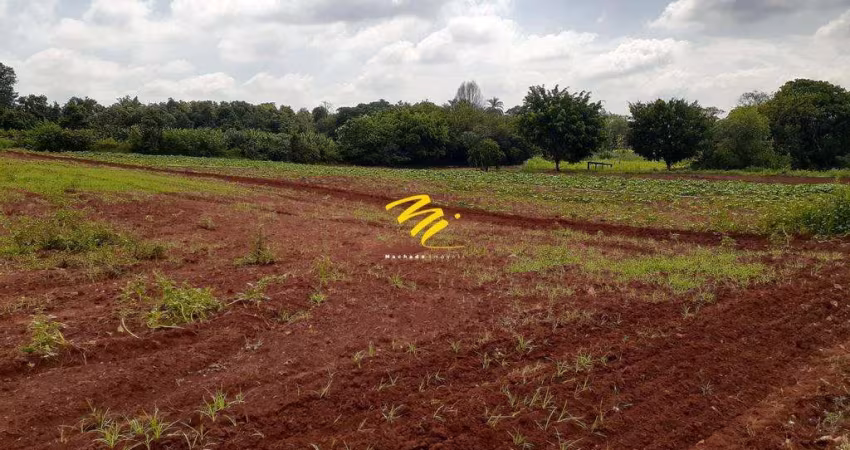 Terreno à venda em Paulínia, Betel, com 44000 m²