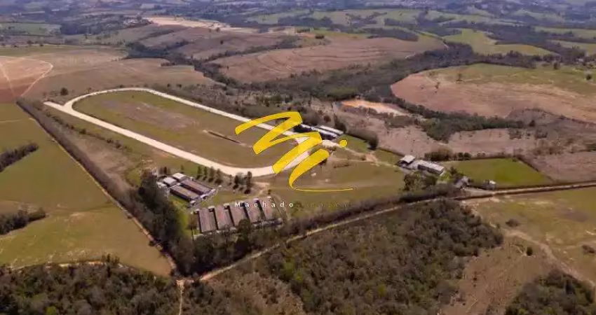 Haras à venda em porto feliz, avecuia do alto, com 21.43 alqueires