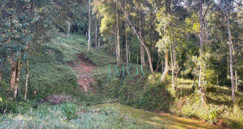 Terreno à venda, 1107 m² por R$ 500.000,00 - Alto Do Capivari - Campos do Jordão/SP