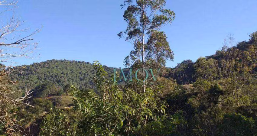 Chácara com 2 dormitórios à venda, 200 m² por r$ 300.000,00 - roncador - são francisco xavier/sp