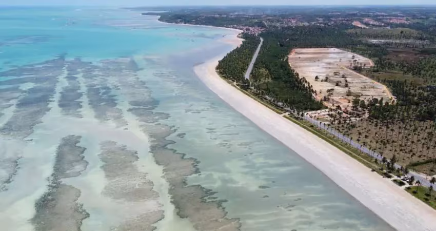 Terreno à venda na Rodovia AL-101 Norte, 120,300, Centro, Japaratinga