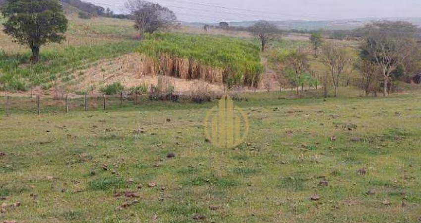 Fazenda com 3 dormitórios à venda, 157300 m² por R$ 1.650.000,00 - Sao Simao - São Simão/SP