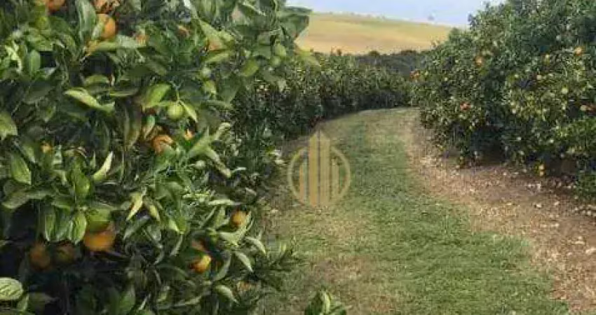 Fazenda à venda, 7986000 m² por R$ 120.000.000,00 - Centro - Botucatu/SP