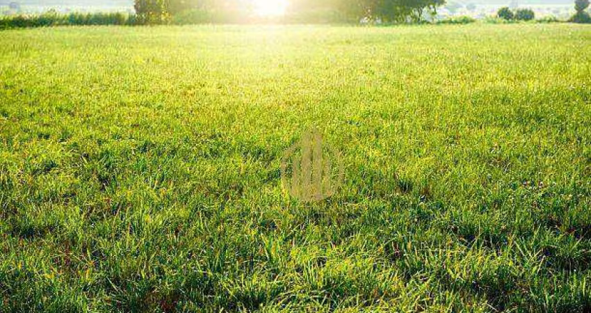 Terreno à venda, 2904 m² por R$ 1.060.000 - Parque Industrial Tanquinho - Ribeirão Preto/SP