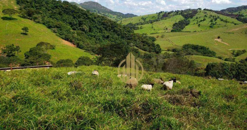 Área  para lazer e ou cultivo venda, 730000 m² por r$ 4.000.000 - zona rural - capitólio/mg
