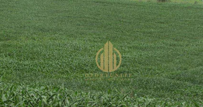Terreno de ilha no Vivendas da Mata - Portal Jatobá - 300 m² por R$ 300.000 - Distrito de Bonfim Paulista - Ribeirão Preto/SP