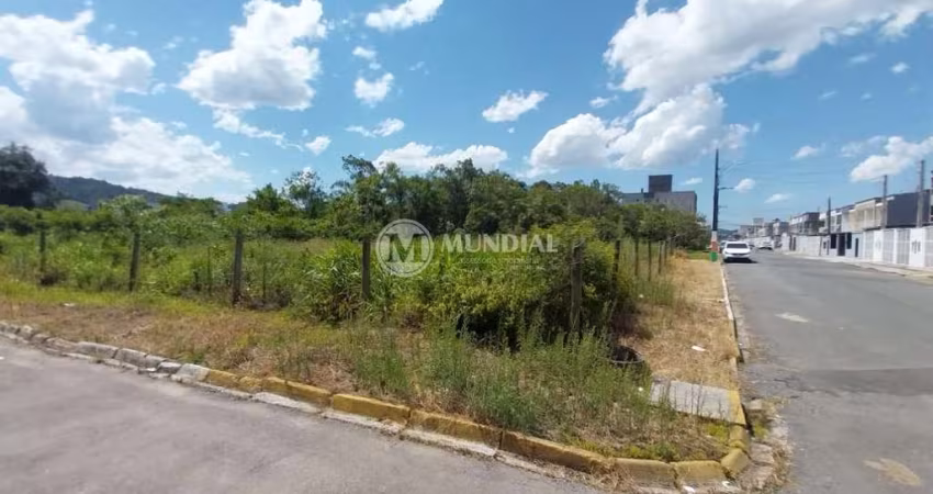 Terreno para venda no bairro santa regina, Santa Regina, Camboriú - SC