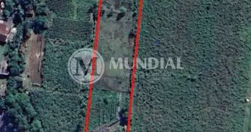 Terreno comercial à venda na Avenida Rio Amazonas, 824, Rio Pequeno, Camboriú