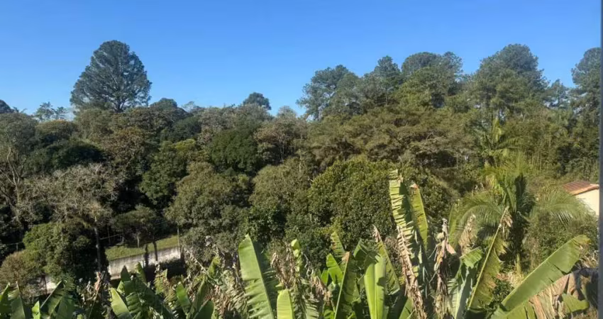 Terreno para venda em são bernardo do campo, riacho grande