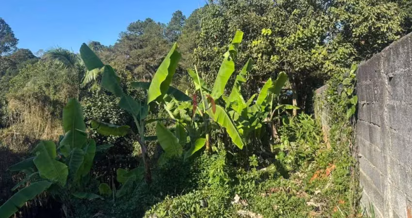 Terreno para venda em são bernardo do campo, riacho grande