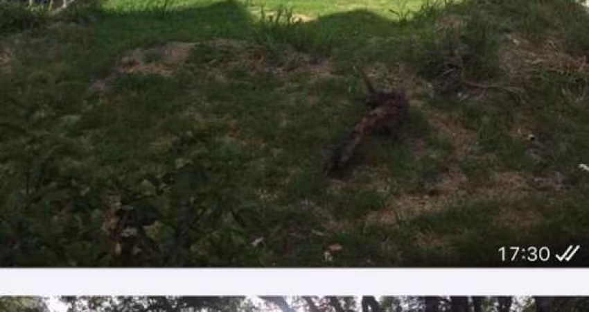 Terreno em Condomínio para Venda em Bragança Paulista, Condomínio Santa Helena III