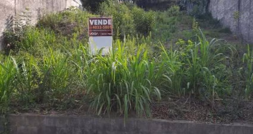 Terreno para Venda em Bragança Paulista, Jardim das Paineiras
