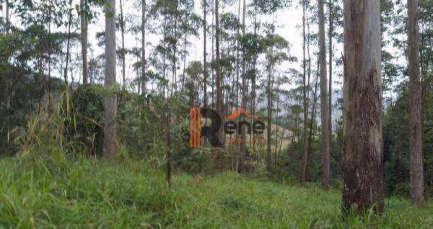 Terreno 5.000m²,Caetes,Camboriú,SC.