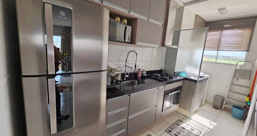 Apartamento com 2 quartos para alugar na Avenida Thereza Ana Cecon Breda, 1751, Jardim das Colinas, Hortolândia