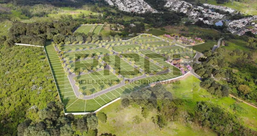 Real Park 2  Vila Oliveira - Terreno à venda, 300 m²  - Vila Caputera - Mogi das Cruzes/SP