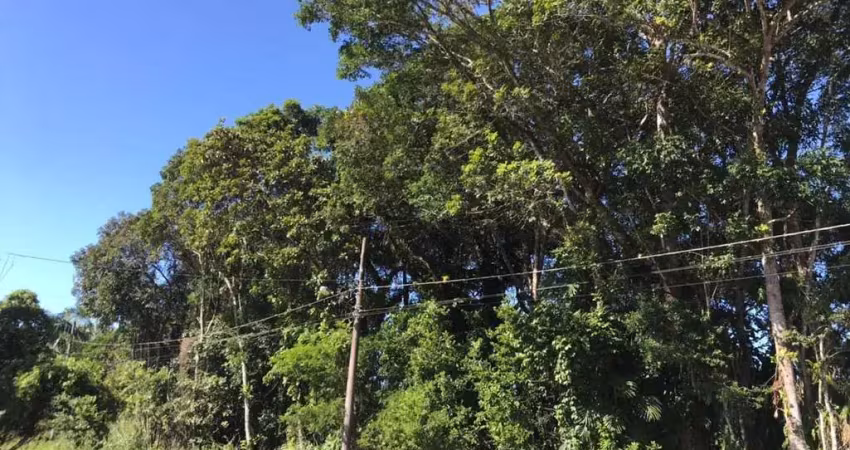 Terreno à venda na Rua 2570 Ayrton Senna da Silva, 775, Pontal do Norte, Itapoá
