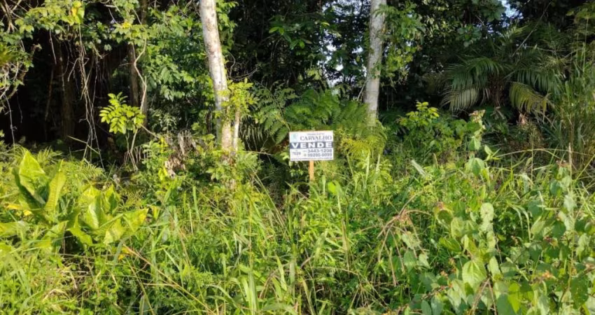 Terreno à venda, 1125 m² por R$ 510.000,00 - Brandalize - Itapoá/SC