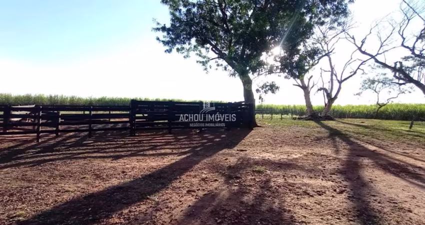 Sítio para Locação no bairro Área Rural de Jaboticabal