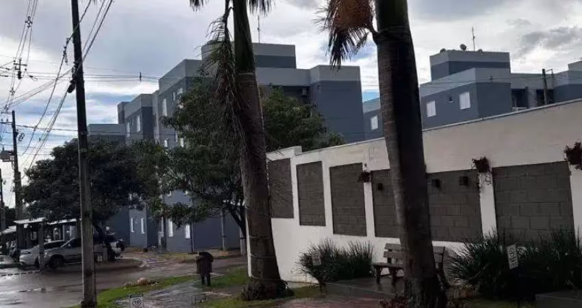 Apartamento em Conjunto Floresta  -  Sarandi