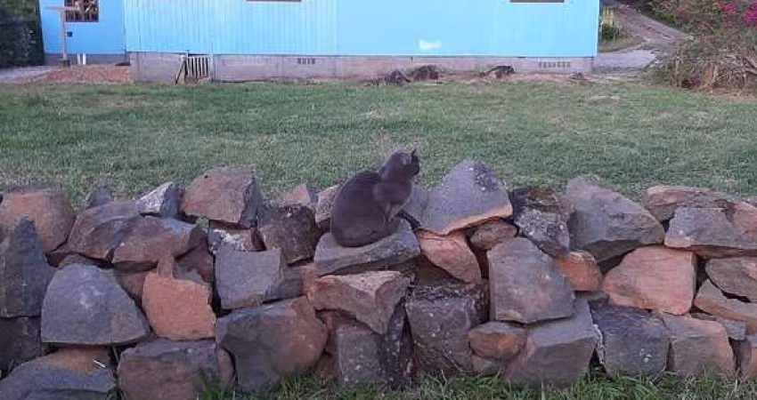 Chácara / sítio com 2 quartos à venda na Estrada Manoel Leôncio de Souza Brito, Vargem Pequena, Florianópolis