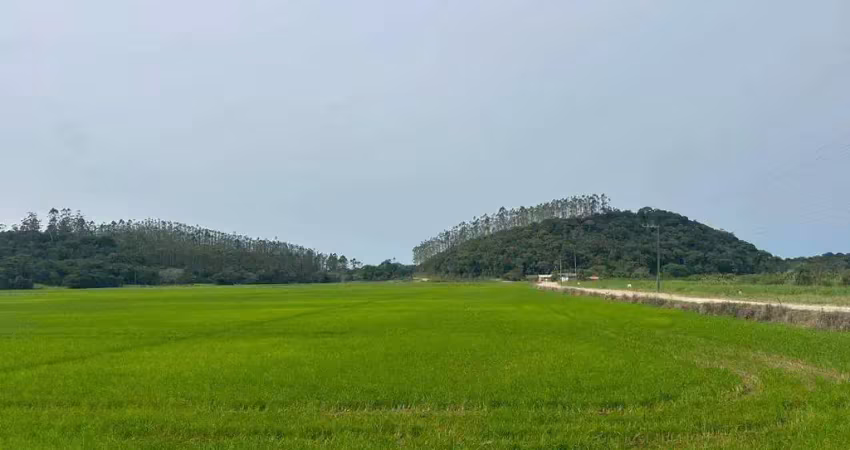 Terreno à venda em jaraguá do sul, 297.000,00m² àrea total - poço grande