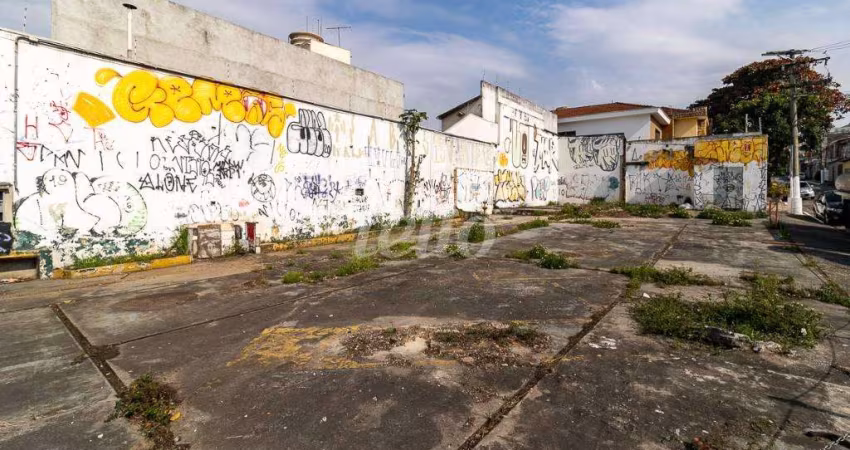 Terreno comercial para alugar na Avenida Álvaro Ramos, --, Quarta Parada, São Paulo