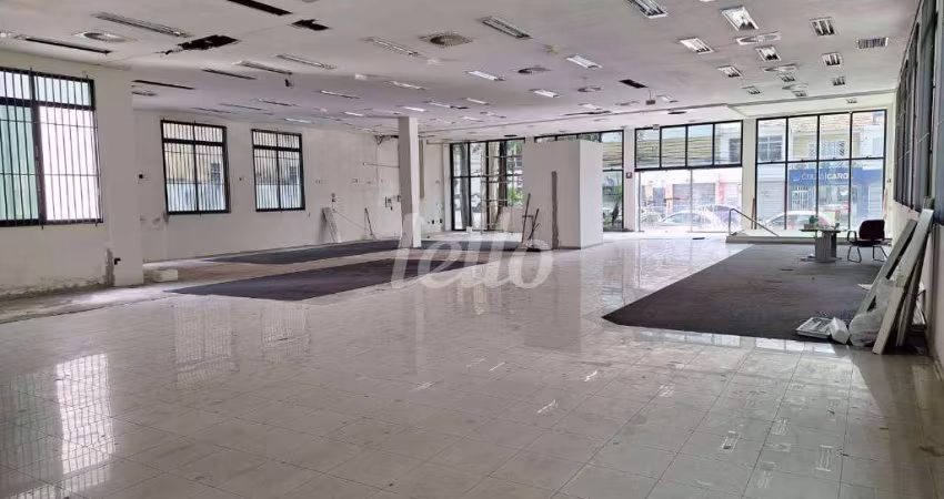Prédio para alugar na Rua Maria Cândida, --, Vila Guilherme, São Paulo