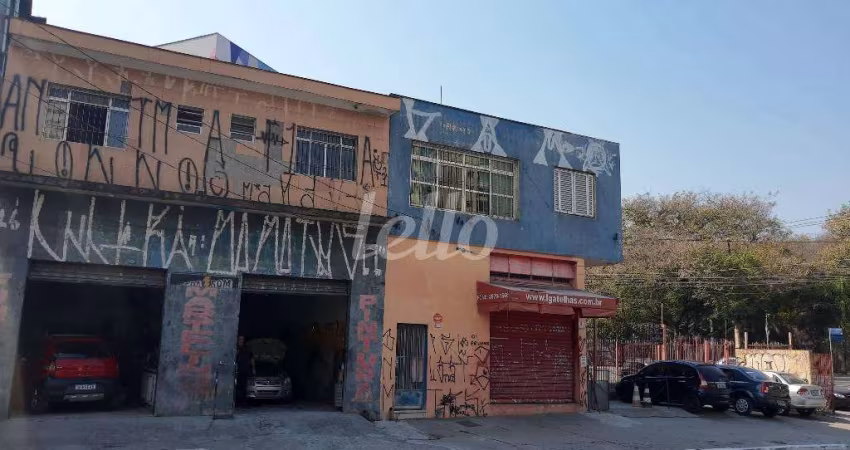 Terreno comercial para alugar na Rua Doutor Zuquim, --, Santana, São Paulo