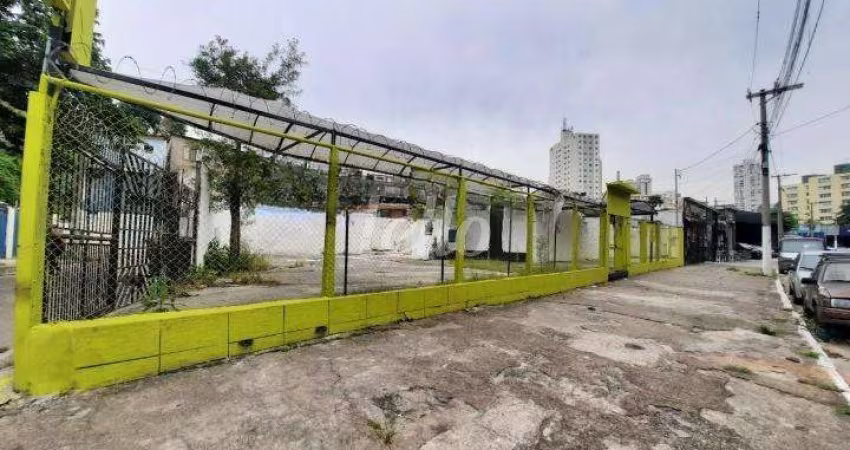 Terreno comercial para alugar na Avenida Engenheiro Caetano Álvares, --, Imirim, São Paulo