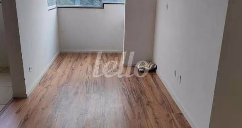 Apartamento com 1 quarto para alugar na Rua Capitão Ferraiuolo, --, Vila Invernada, São Paulo