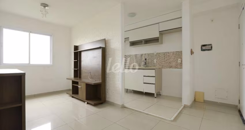 Apartamento com 1 quarto para alugar na Avenida Doutor Francisco Mesquita, --, Quinta da Paineira, São Paulo