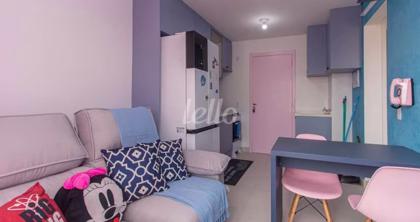 Apartamento com 2 quartos para alugar na Avenida Professor Luiz Ignácio Anhaia Mello, --, Quinta da Paineira, São Paulo