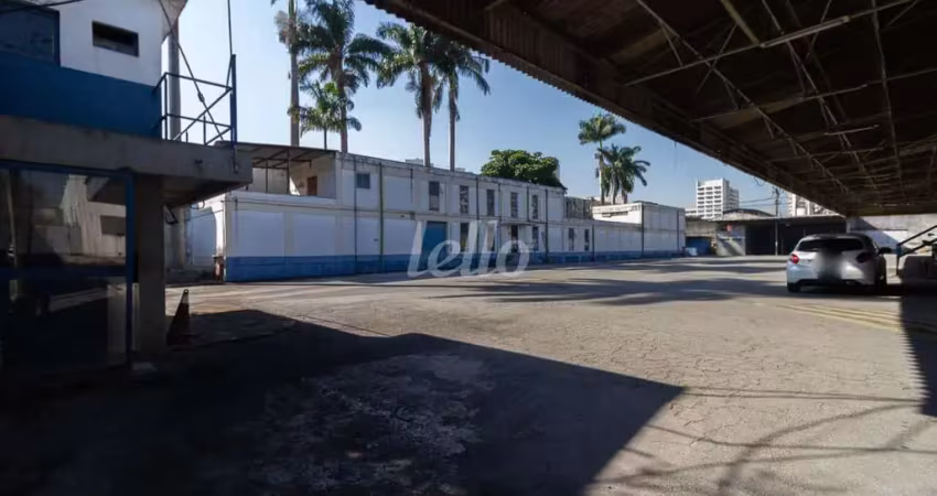Barracão / Galpão / Depósito para alugar na Avenida Cardeal Santiago Luiz Copello, --, Vila Ribeiro de Barros, São Paulo